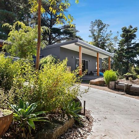 Bells Beach Escape Secluded Eco Bush Sanctuary Bellbrae 외부 사진