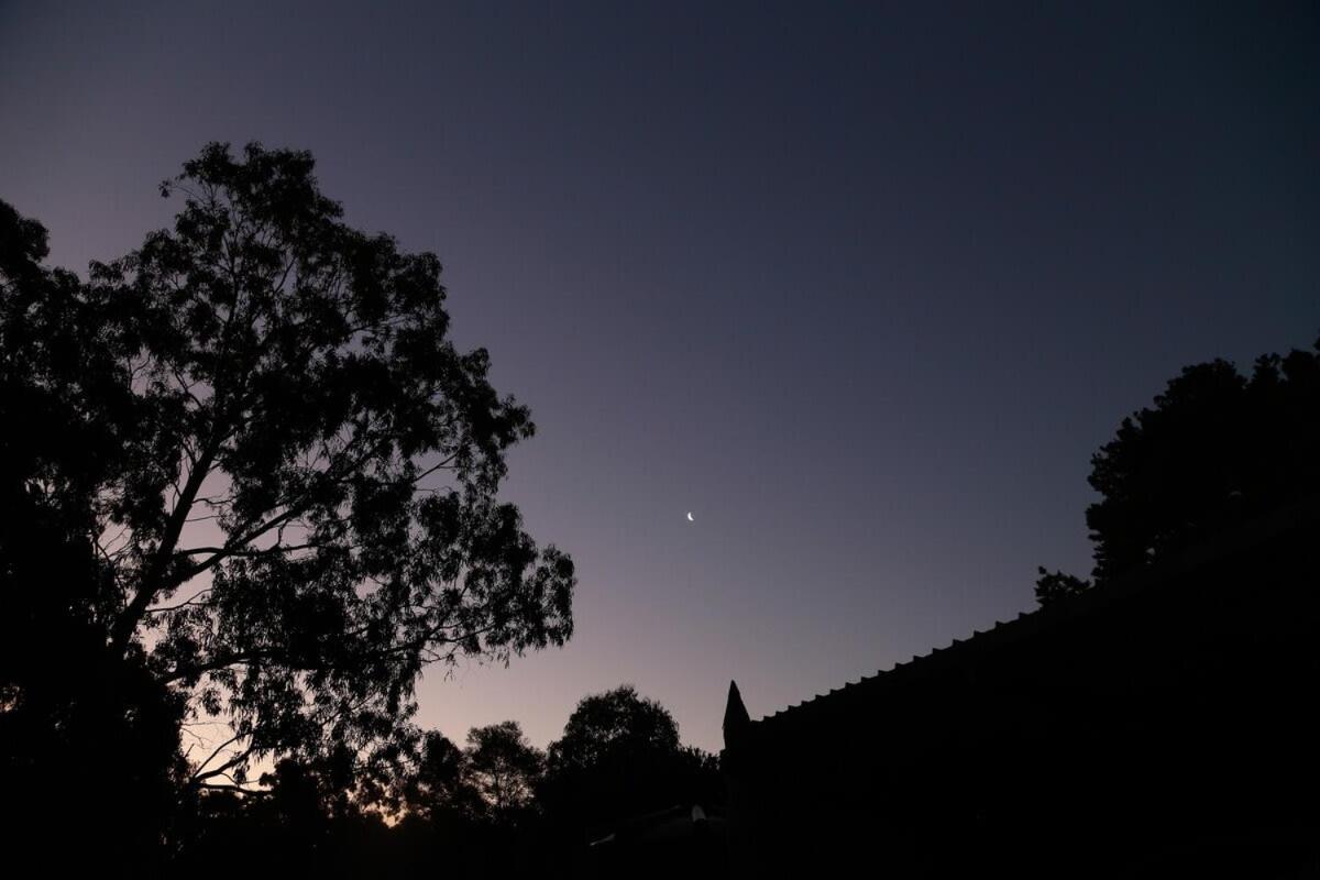 Bells Beach Escape Secluded Eco Bush Sanctuary Bellbrae 외부 사진