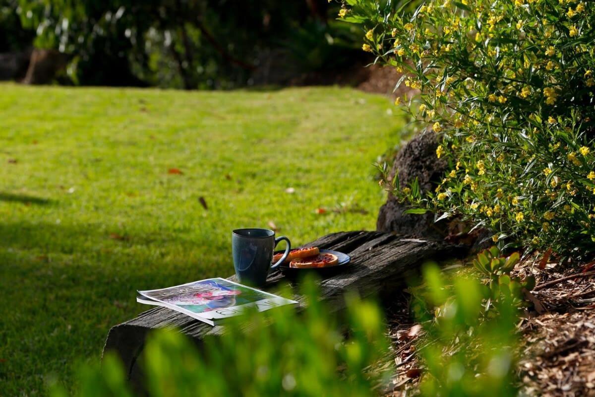 Bells Beach Escape Secluded Eco Bush Sanctuary Bellbrae 외부 사진