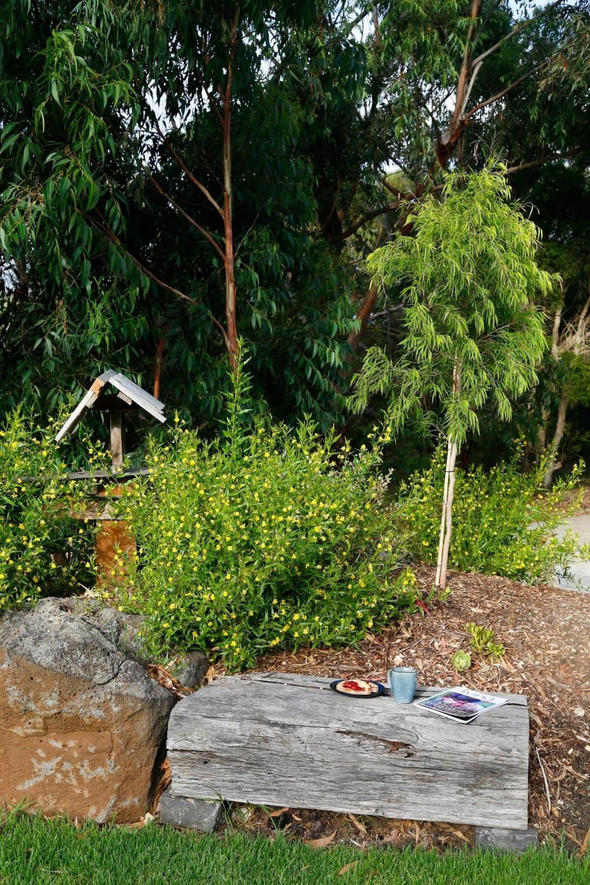 Bells Beach Escape Secluded Eco Bush Sanctuary Bellbrae 외부 사진